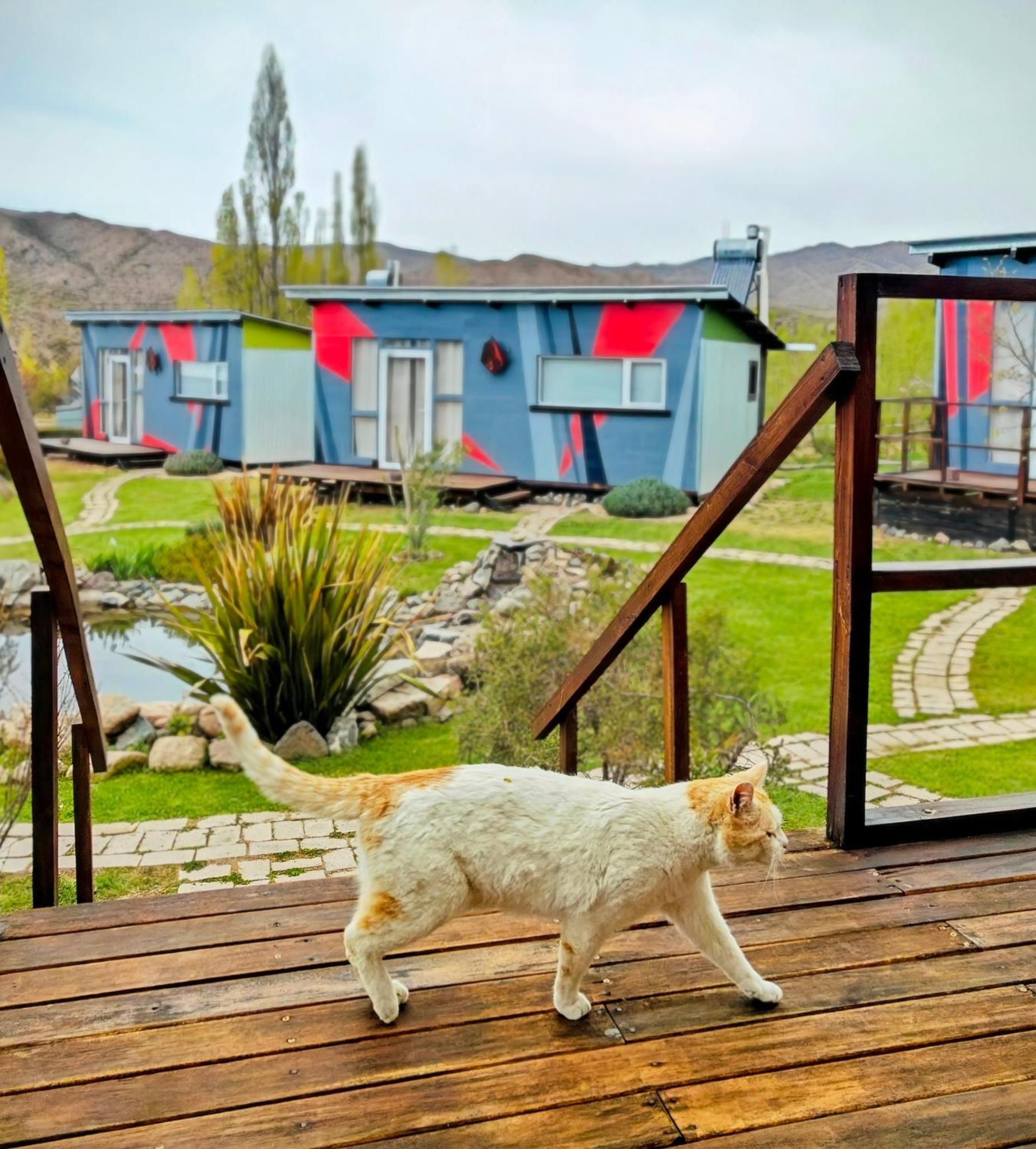 Villa Casa Faro Arte à Potrerillos Extérieur photo