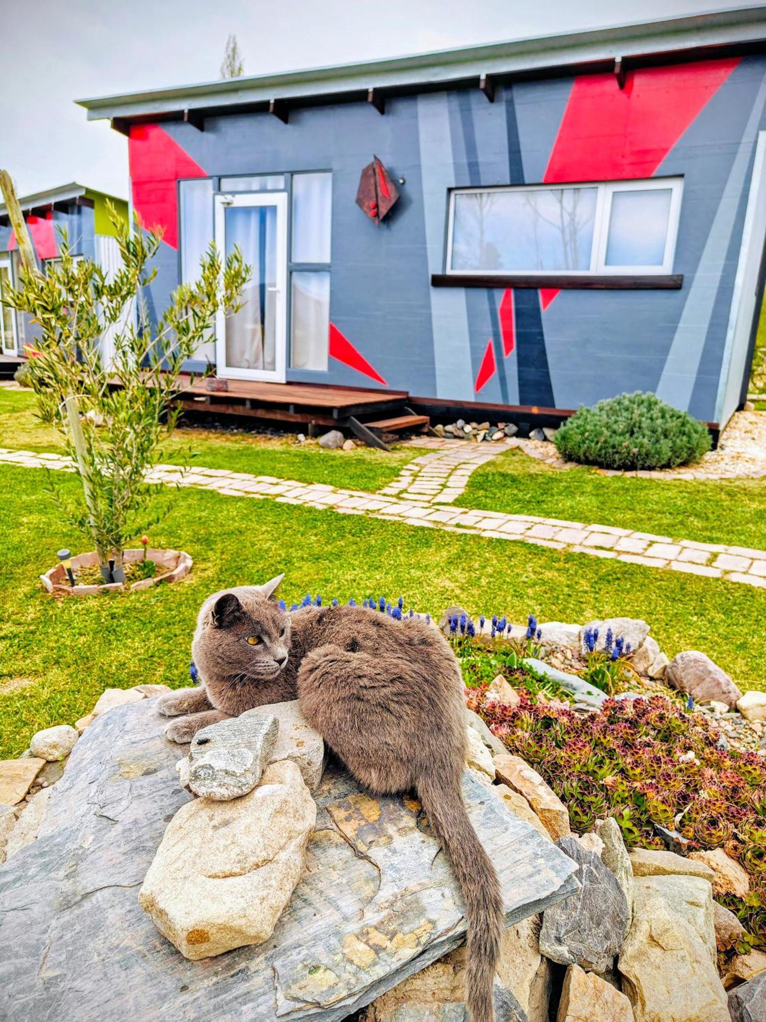 Villa Casa Faro Arte à Potrerillos Extérieur photo